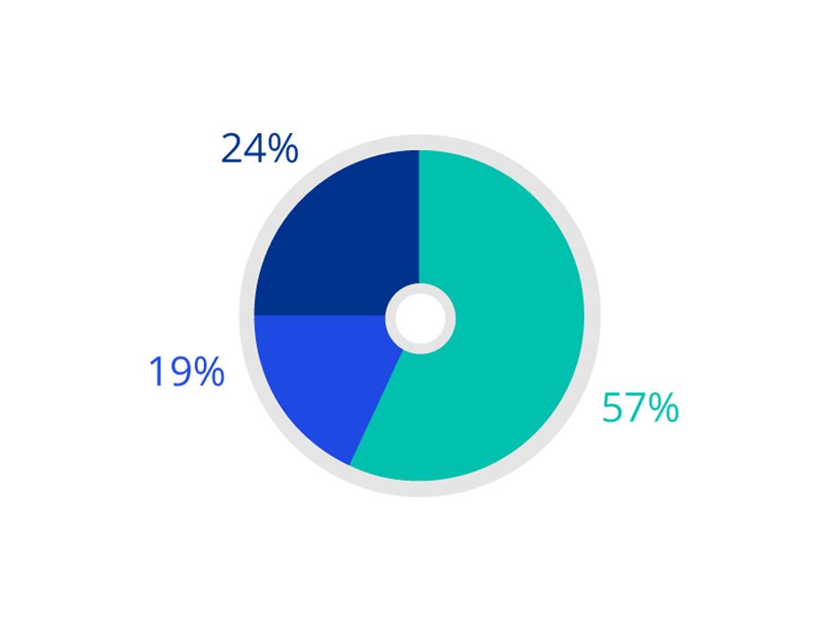 2021 Socio-economic background - Partner