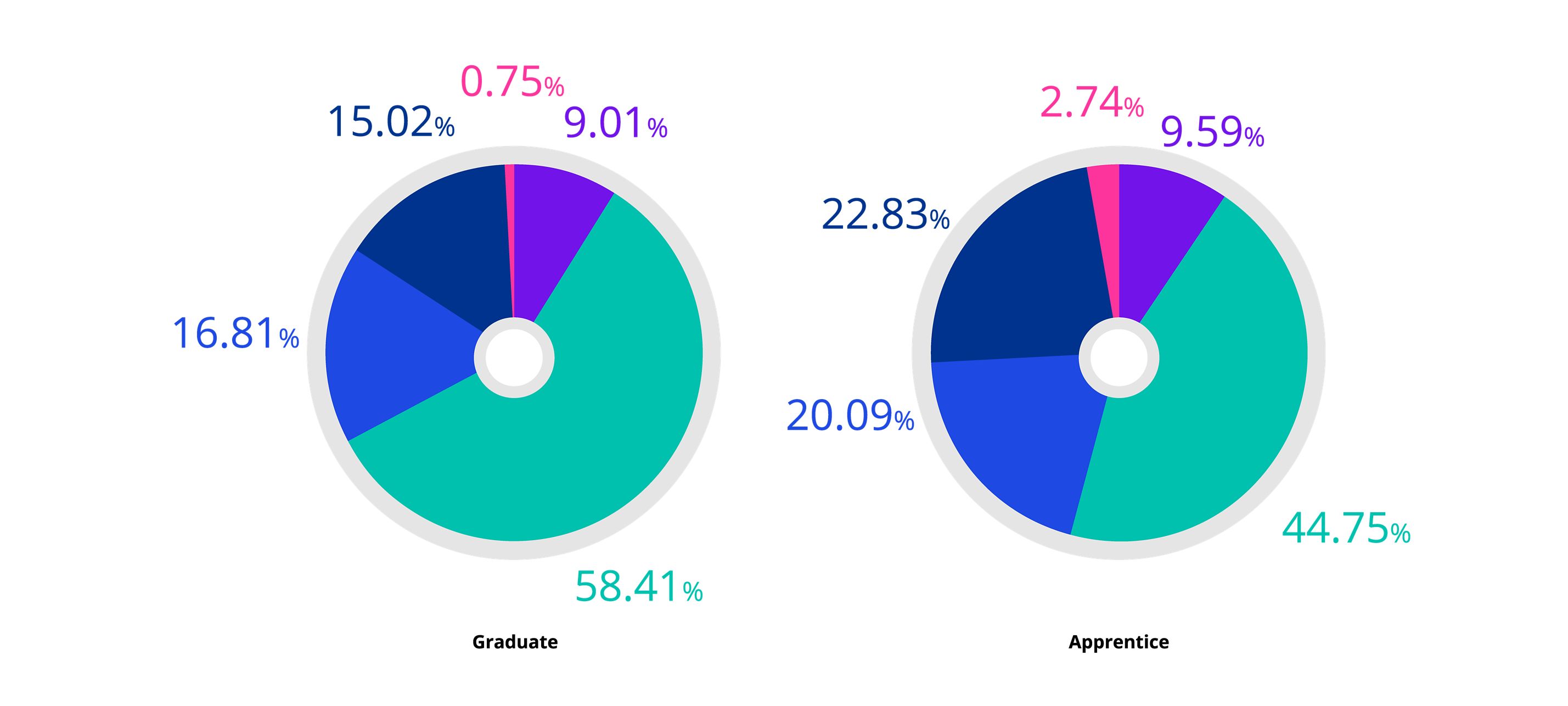 2020 Socio-economic background - Graduate & Apprentice intake