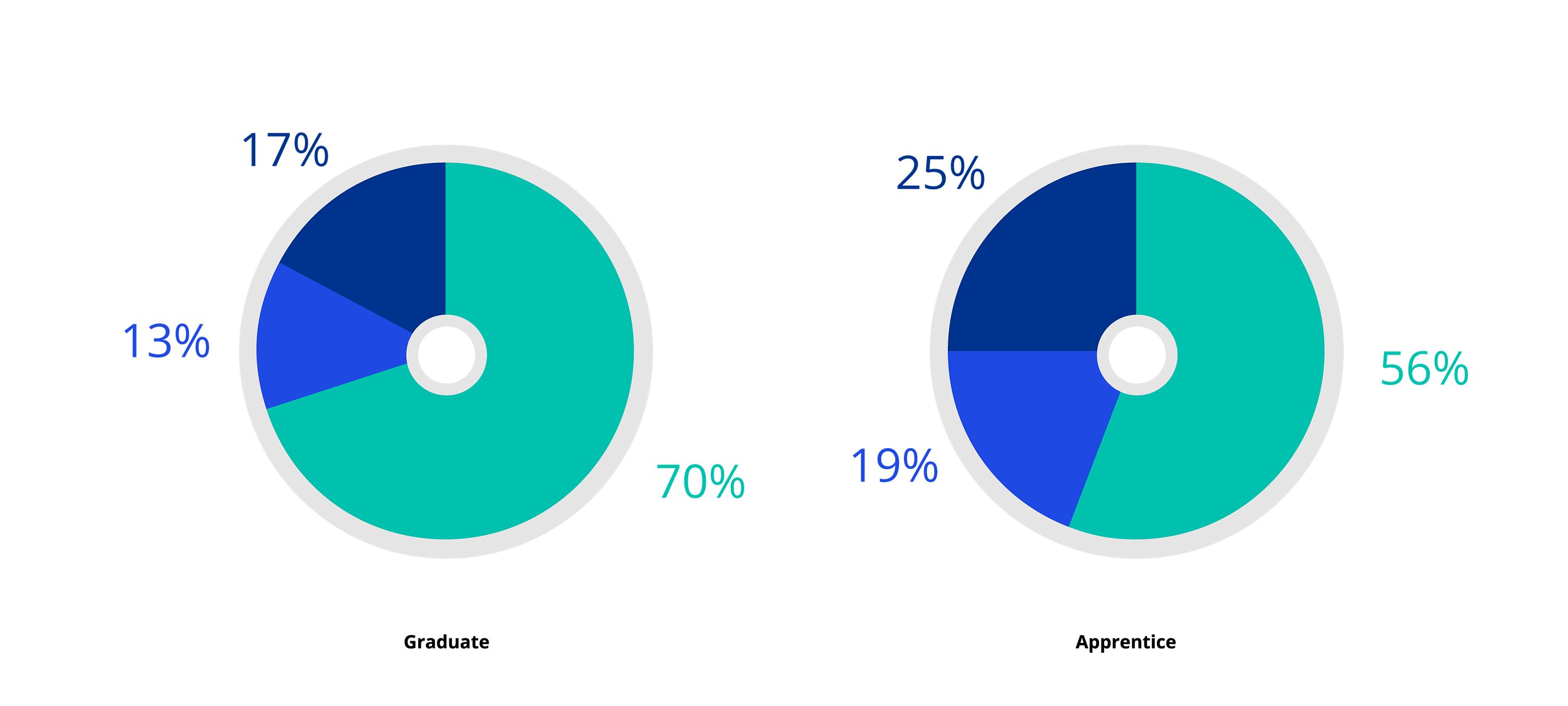 2021 Socio-economic background - Graduate & Apprentice intake