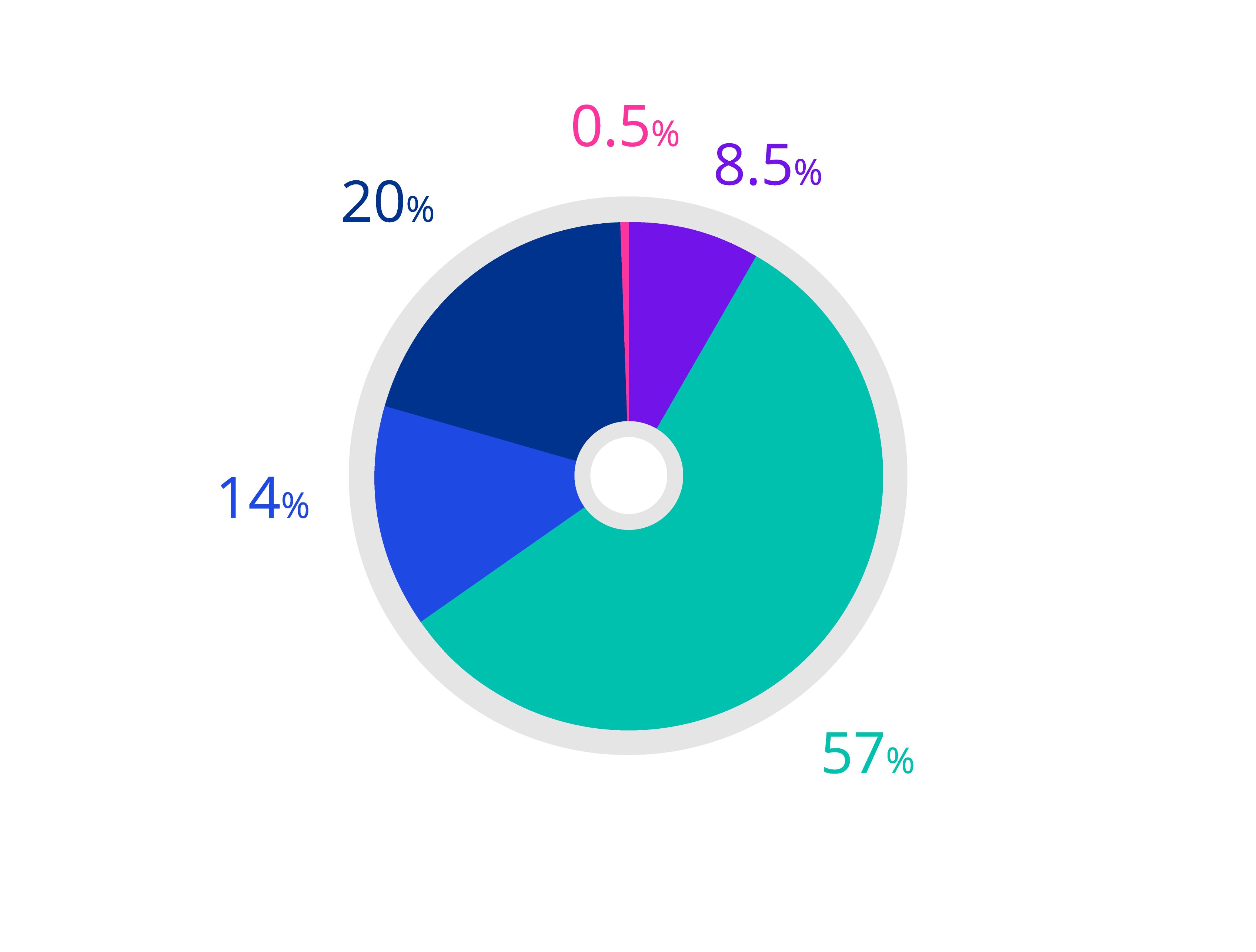 2020 Socio-economic background - Senior representation